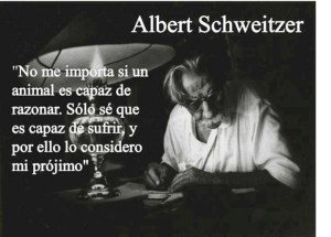 408534f80966fea3f1905db99197680d